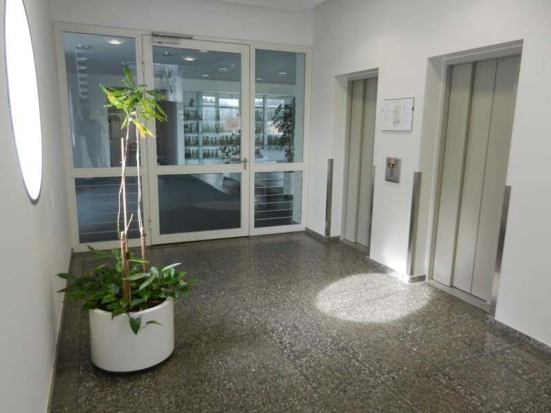 tiled floor, two elevators, glass doors, plant in a white pot, circular light on the wall
