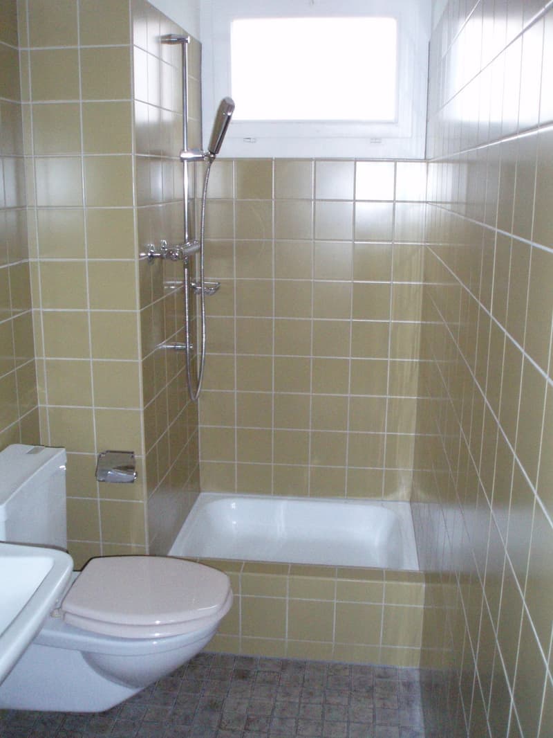 Grand appartement 5,5 pièces dans un endroit calme (5)