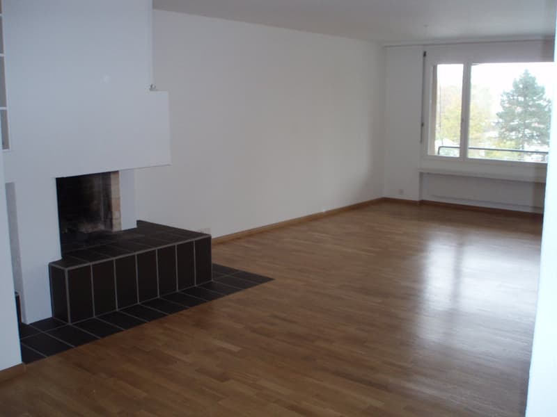 Grand appartement 5,5 pièces dans un endroit calme (2)