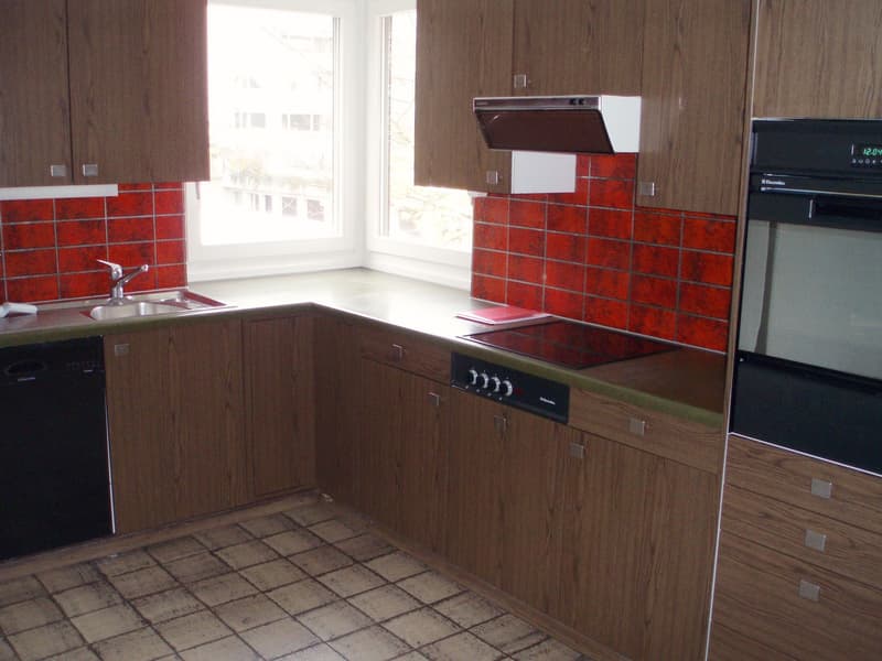 Grand appartement 5,5 pièces dans un endroit calme (6)