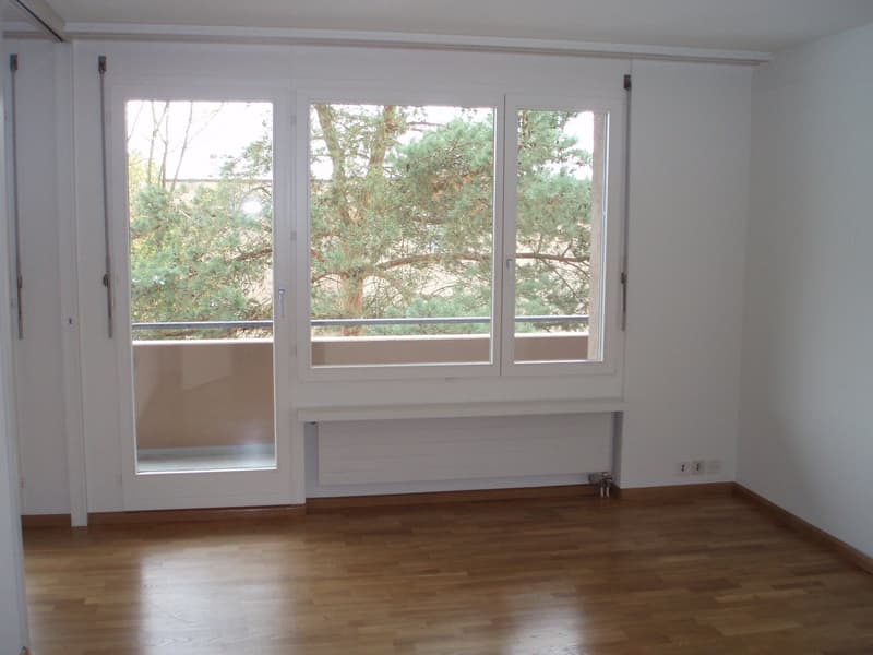Grand appartement 5,5 pièces dans un endroit calme (3)
