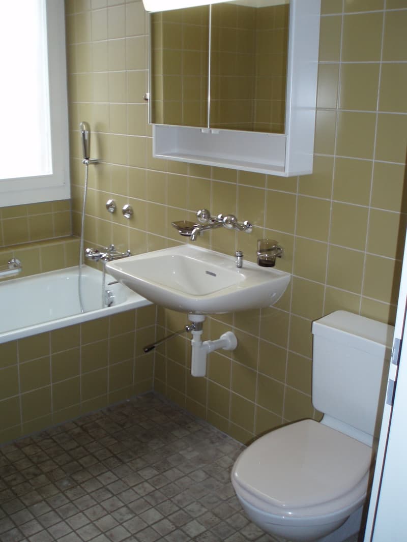 Grand appartement 5,5 pièces dans un endroit calme (4)