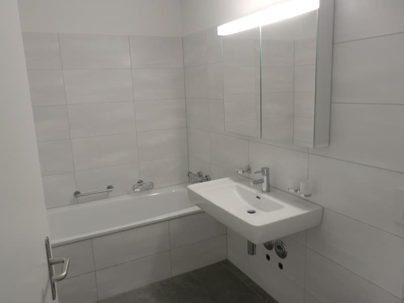Schöne 3½-Zimmerwohnung im Minergie-P Standard (5)