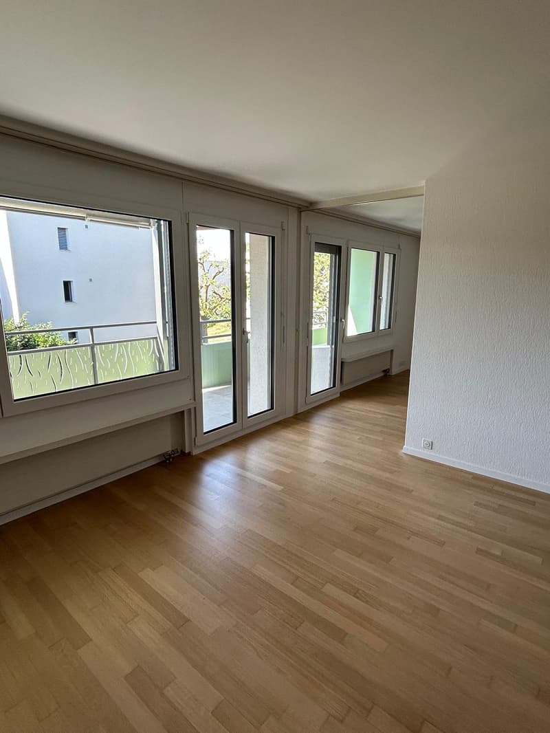 5.5 Zimmerwohnung an ruhiger Lage (5)