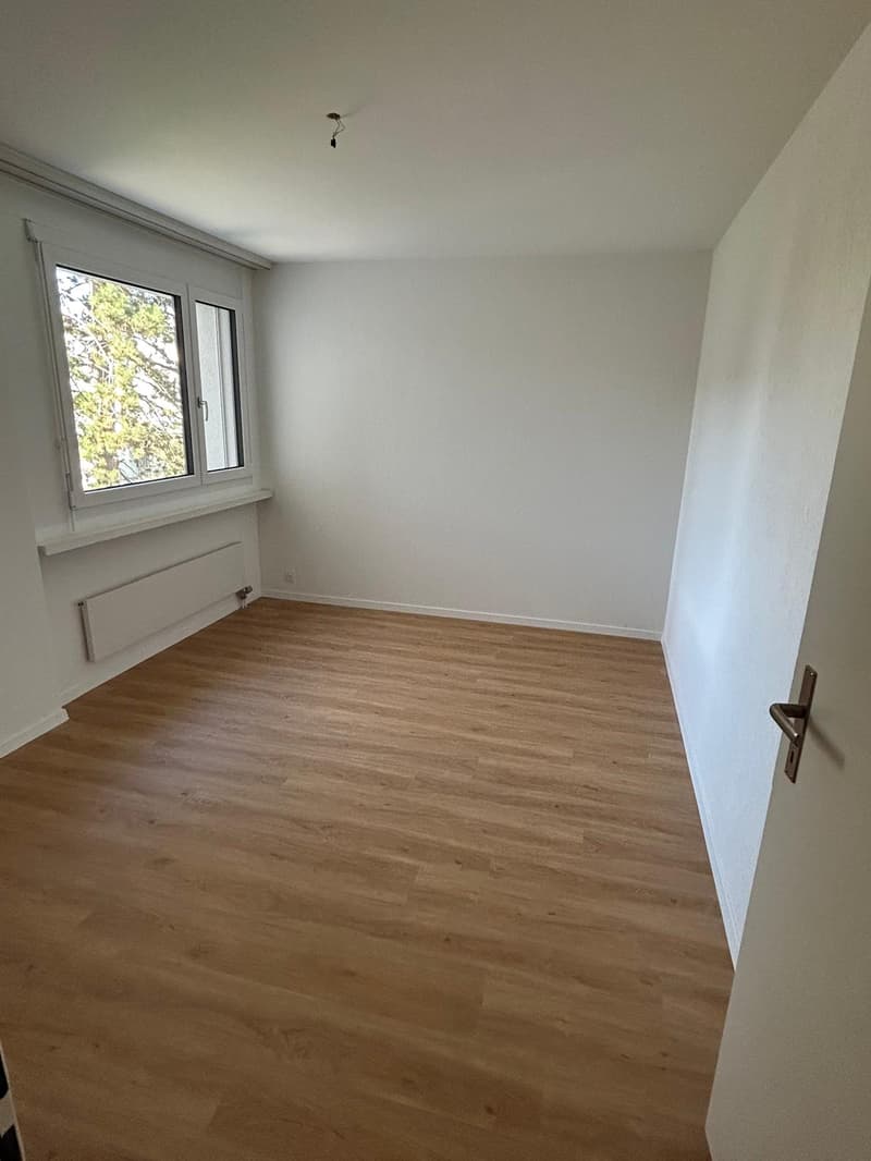 5.5 Zimmerwohnung an ruhiger Lage (7)