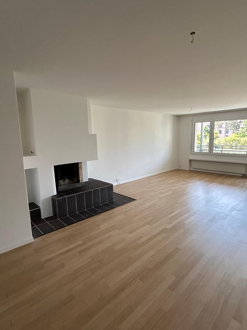 5.5 Zimmerwohnung an ruhiger Lage (4)