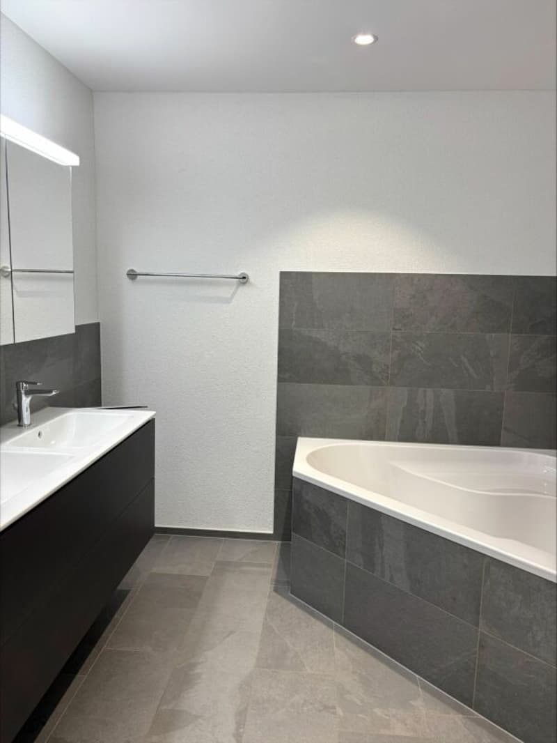 Ottimo appartamento con terrazza in affitto in standard di proprietario (4)