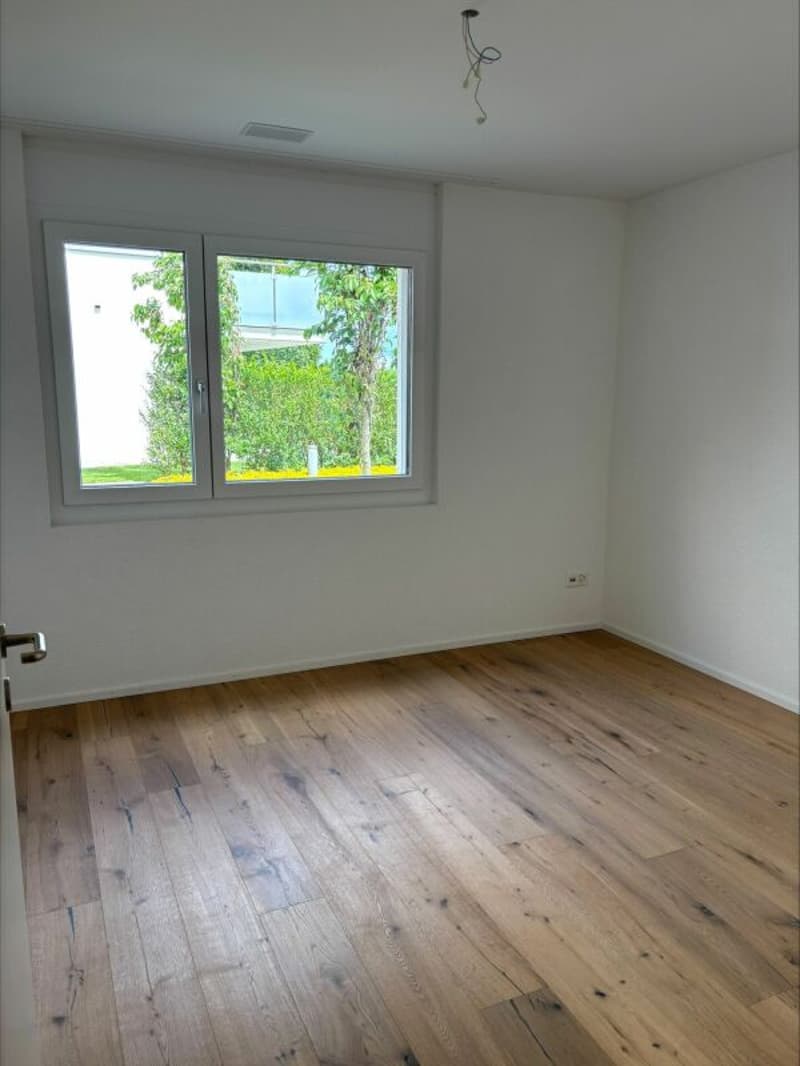 Ottimo appartamento con terrazza in affitto in standard di proprietario (6)