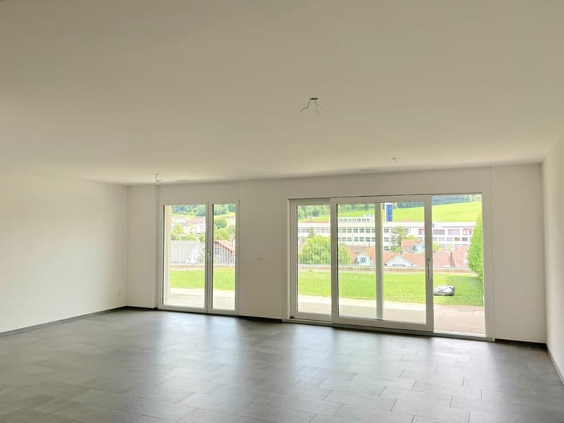 Ottimo appartamento con terrazza in affitto in standard di proprietario (3)