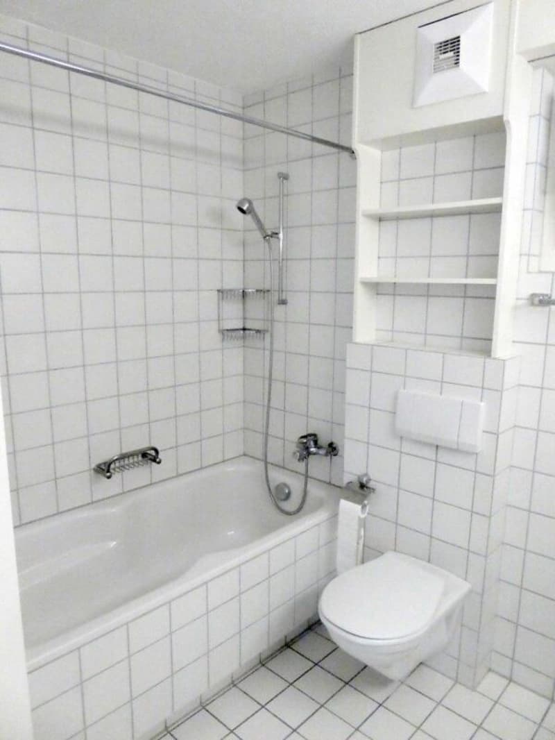 Superbe appartement-jardin 4.5 pièces à louer (5)