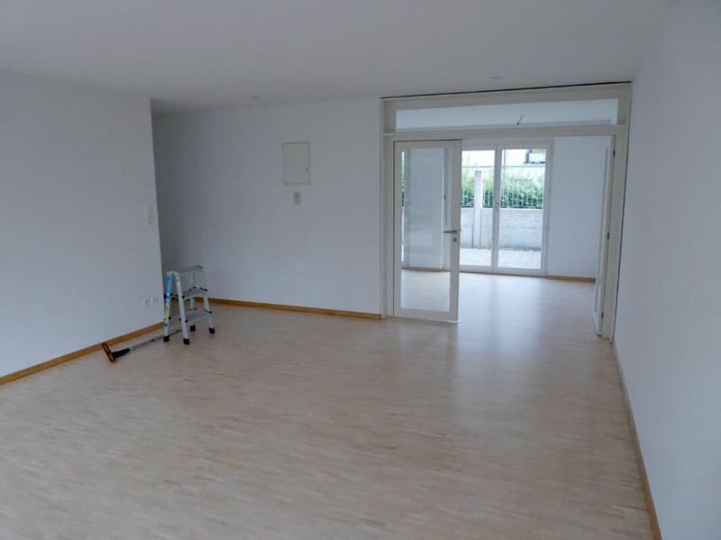 Superbe appartement-jardin 4.5 pièces à louer (4)