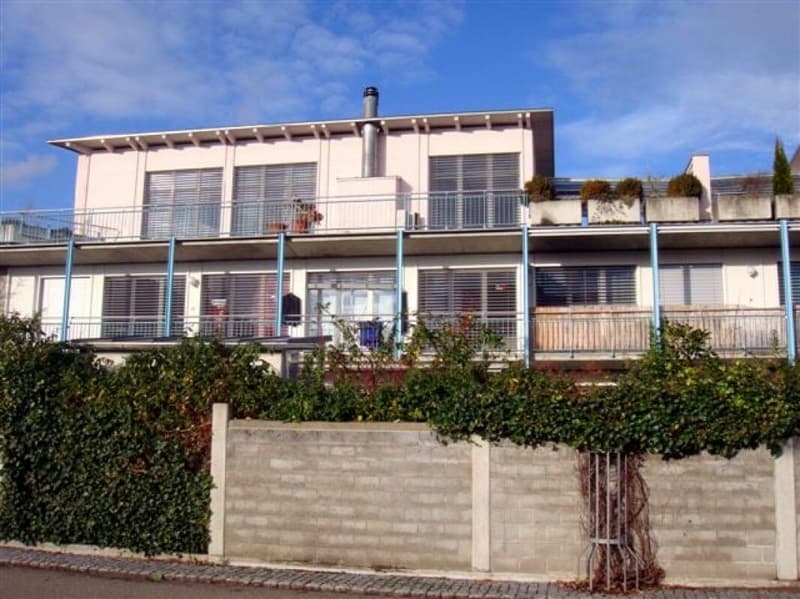 Superbe appartement-jardin 4.5 pièces à louer (11)