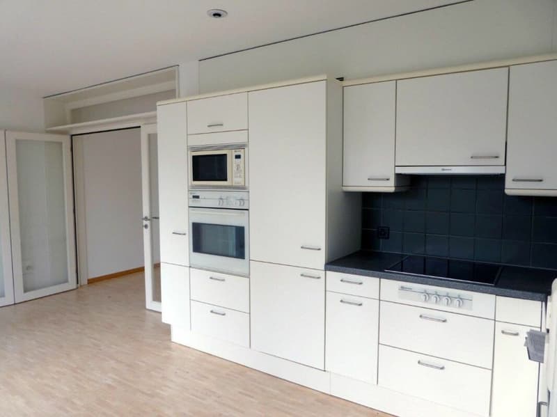 Superbe appartement-jardin 4.5 pièces à louer (3)