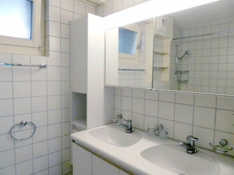 Superbe appartement-jardin 4.5 pièces à louer (6)