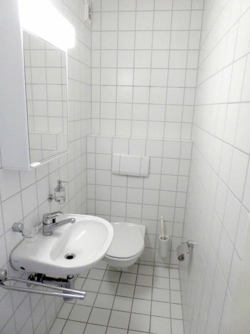 Superbe appartement-jardin 4.5 pièces à louer (7)