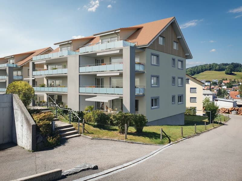 schöne 3 1/2-Zimmer Neubau-Dachwohnungen im Grünen (1)