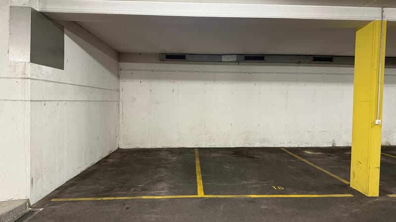 Delizioso appartamento di 5.5 locali con camino e vista a Lufingen (18)