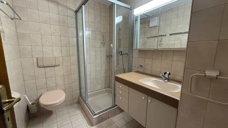 Delizioso appartamento di 5.5 locali con camino e vista a Lufingen (17)