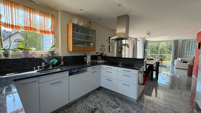 Spacious 10-room single-family house in a quiet location in Glattfelden (4)