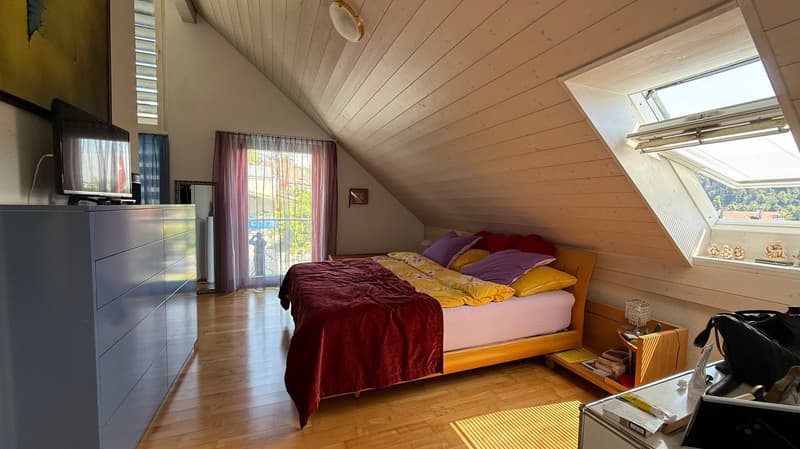Spacious 10-room single-family house in a quiet location in Glattfelden (16)