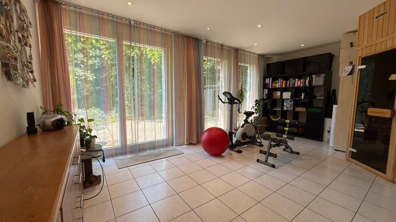 Spacious 10-room single-family house in a quiet location in Glattfelden (18)