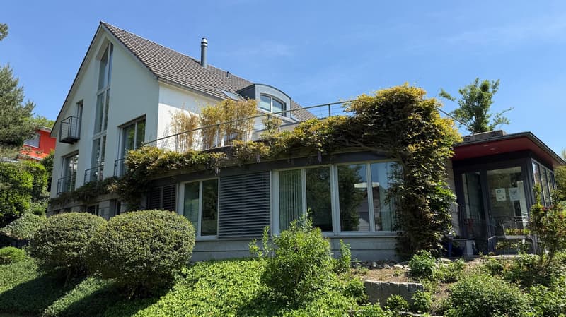 Spacious 10-room single-family house in a quiet location in Glattfelden (1)