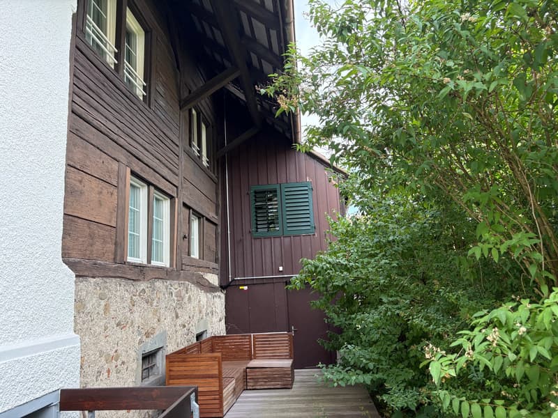 Historic middle house with annex apartment in the heart of Opfikon's old village center (16)