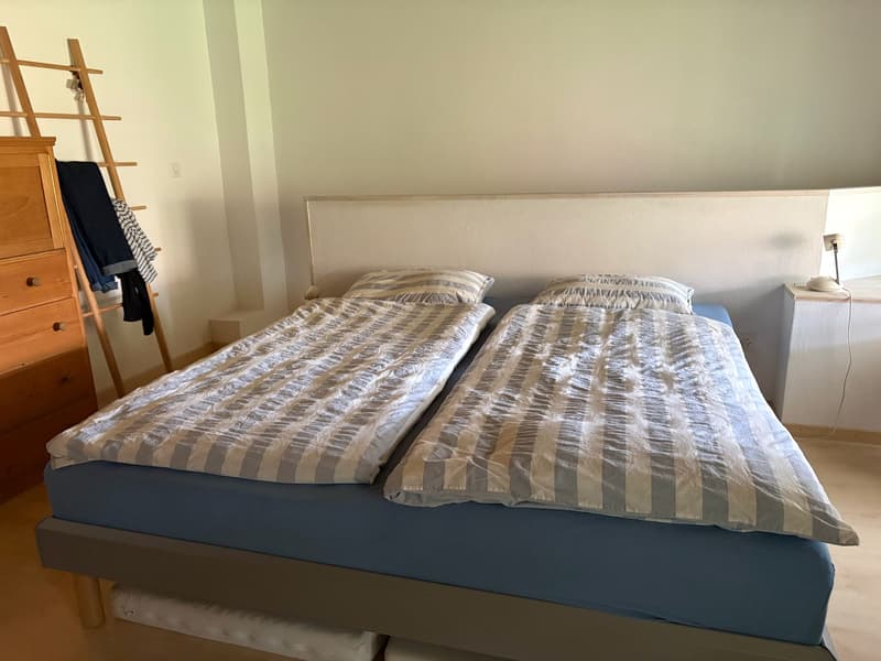 Historic middle house with annex apartment in the heart of Opfikon's old village center (8)