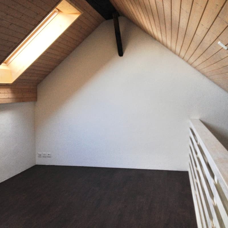 Historic middle house with annex apartment in the heart of Opfikon's old village center (14)