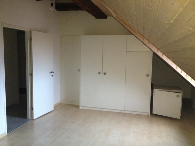 Historic middle house with annex apartment in the heart of Opfikon's old village center (13)