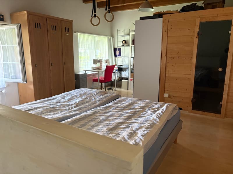 Historic middle house with annex apartment in the heart of Opfikon's old village center (9)