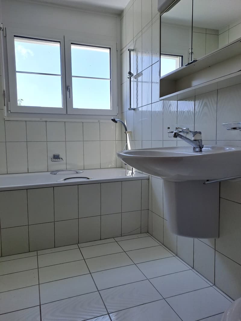 Charming 3-room apartment with fireplace in Thundorf (6)