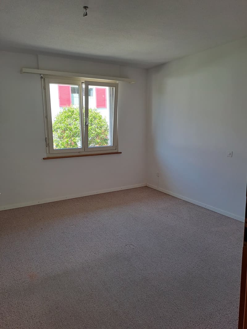 Charming 3-room apartment with fireplace in Thundorf (7)