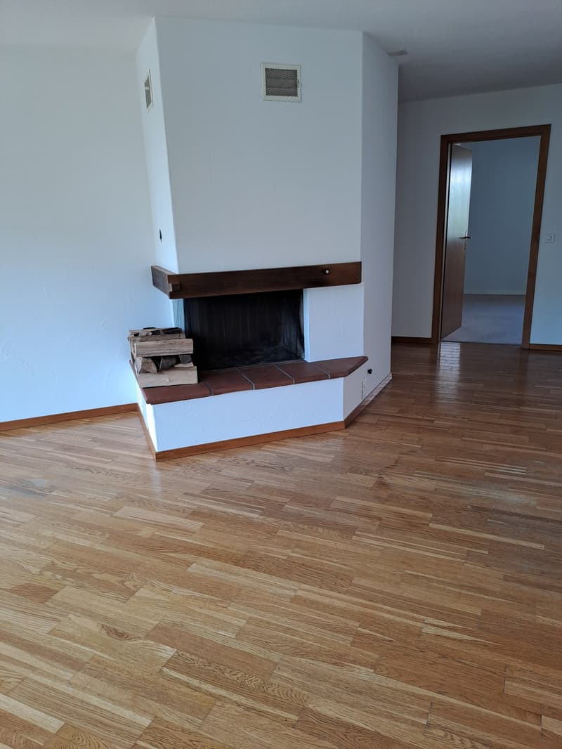 Charming 3-room apartment with fireplace in Thundorf (4)