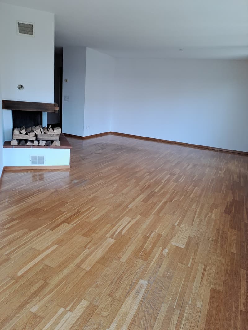 Charming 3-room apartment with fireplace in Thundorf (2)
