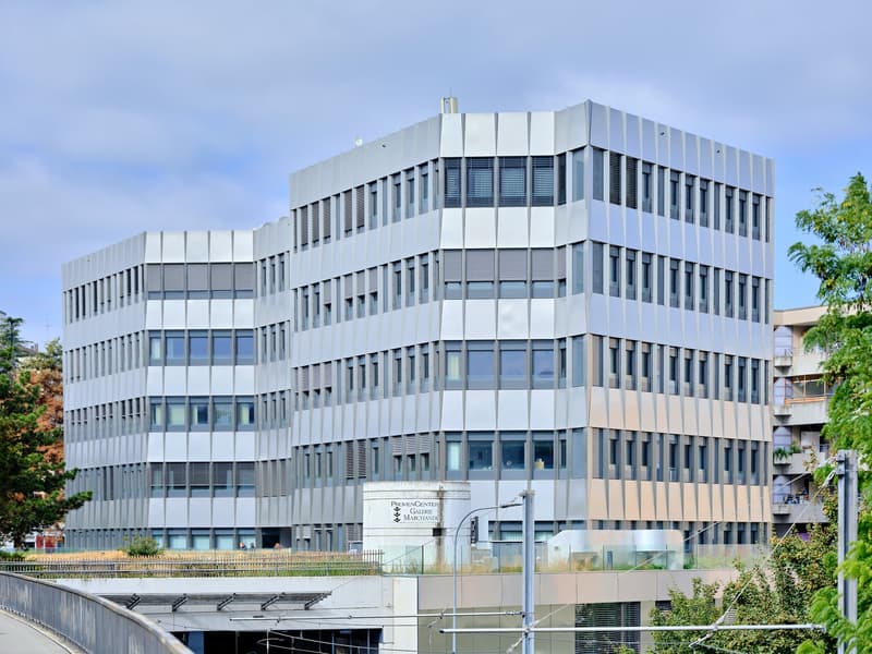 modern gray building, multiple windows, glass panels, flat roof, green plants, street lights