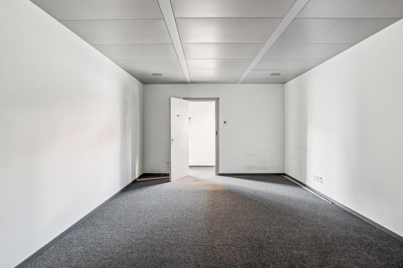 empty room, gray carpet, white walls, two open doors, bright lighting