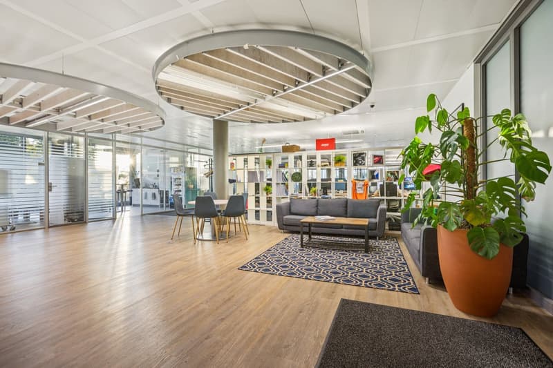 Wooden floors, a large grey couch, coffee table, table and chairs, potted plant, modern ceiling