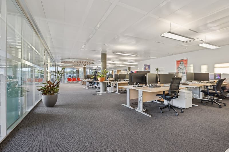 modern office space, carpeted floor, glass walls, rows of desks, office chairs, monitors, plants