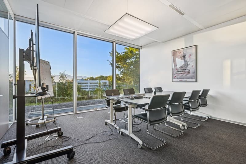 Modern office room, large windows, long table, chairs, poster, monitor stand, cables, carpeted floor