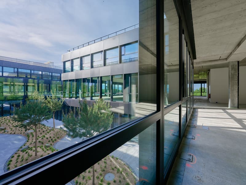 Modern office building with glass walls, surrounded by landscaped gardens and trees