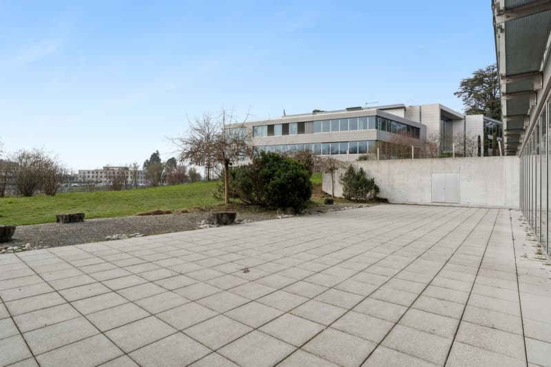 Concrete paved area, concrete wall, glass windows, office building, greenery, trees, grass field