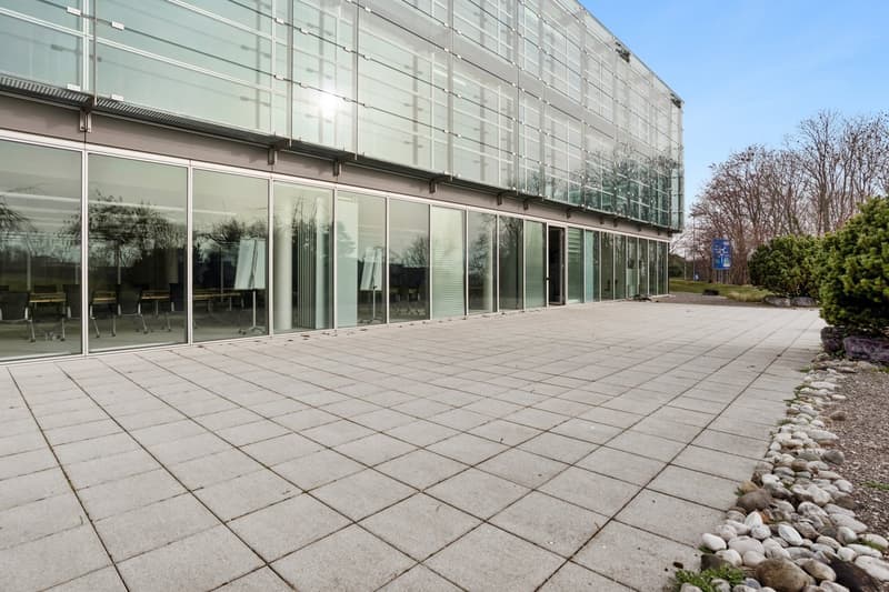 modern building with glass facade, tiled entrance, large windows, open entrance