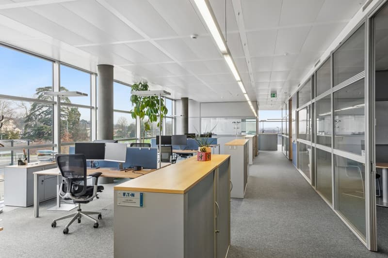 modern office space with large windows, desks, chairs, plants, and monitors