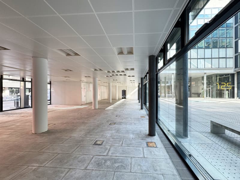 Erdgeschoss Gewerbefläche in Zürich-West (5)