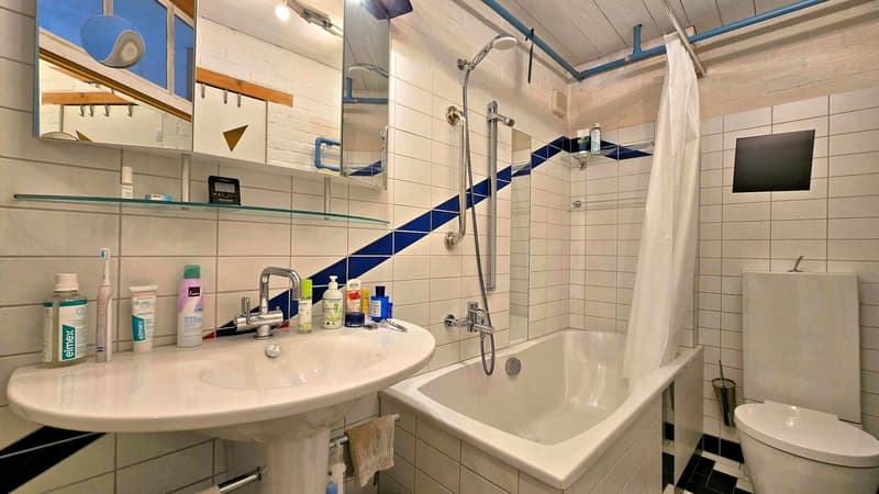 Neu aufgebauter Flarzhausteil mit Atelier-/Loftbereich (12)
