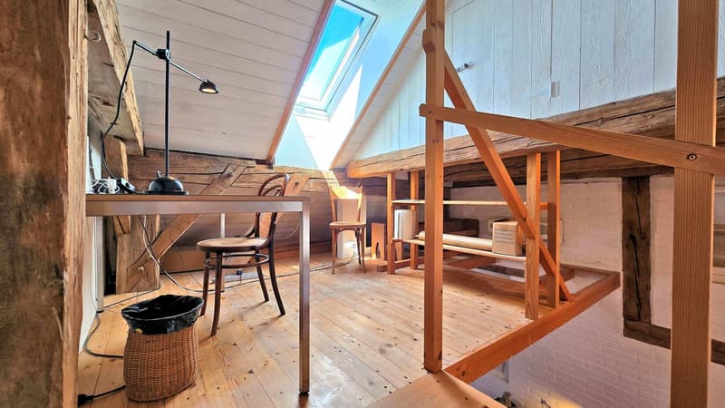 Neu aufgebauter Flarzhausteil mit Atelier-/Loftbereich (10)