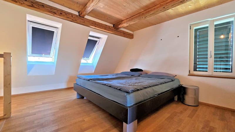 Completamente rinnovato e esteso con stile (9)