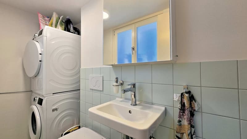 Completamente rinnovato e esteso con stile (11)