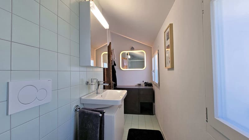 Completamente rinnovato e esteso con stile (12)